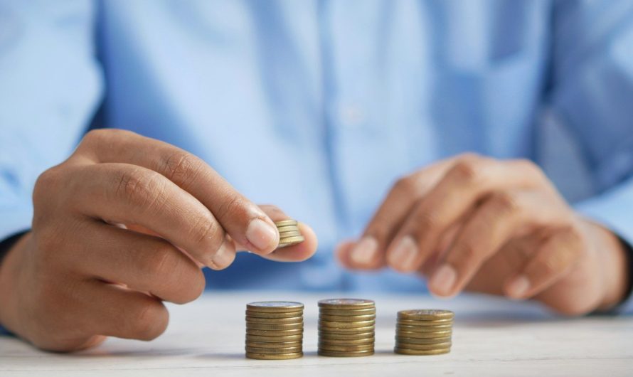 Quels dispositifs fiscaux peuvent être utilisés pour optimiser ses revenus ?